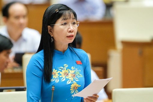 Đoàn Đại biểu Quốc hội An Giang chất vấn lĩnh vực ngân hàng