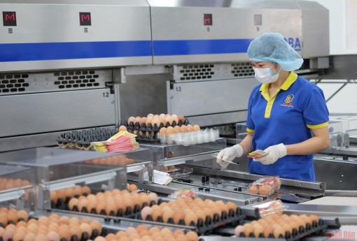 Linh hoạt ứng phó với giá nguyên liệu tăng