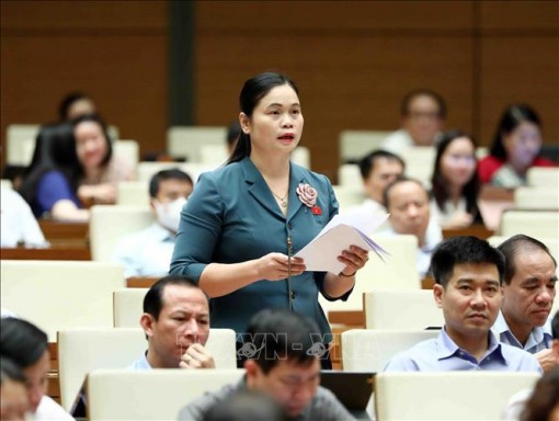 Kỳ họp thứ ba, Quốc hội khoá XV: Quốc hội thảo luận về dự án Luật Thanh tra (sửa đổi)