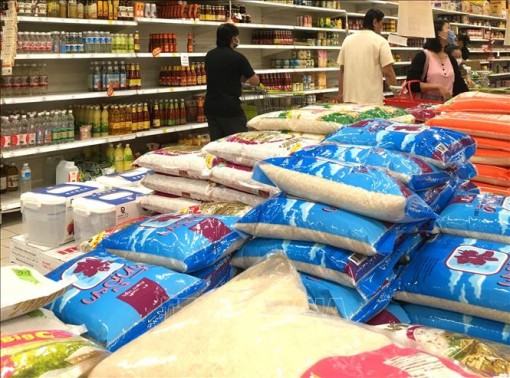 Sau lúa mỳ, giá gạo có thể sẽ tăng vọt trên toàn cầu