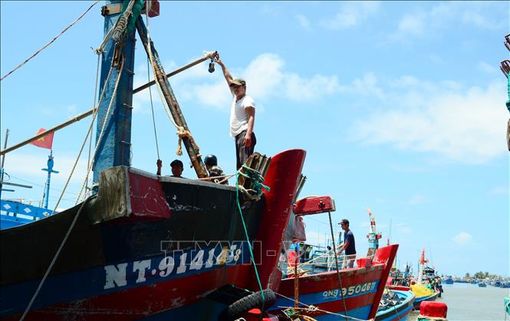 Ngư dân linh hoạt tiết kiệm chi phí trước tác động giá nhiên liệu tăng cao