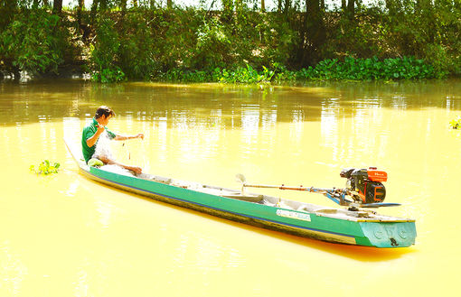 Chờ mùa lũ mới