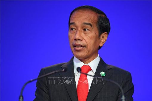 Tổng thống Indonesia cải tổ Nội các