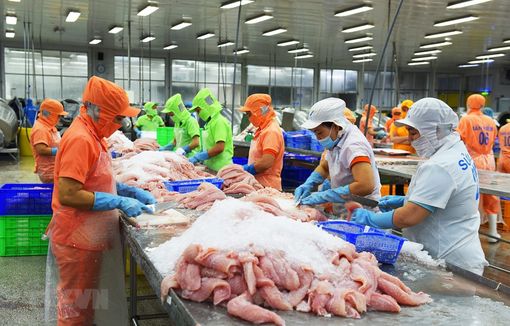 Tôm, cá tra tận dụng cơ hội thị trường đẩy mạnh xuất khẩu