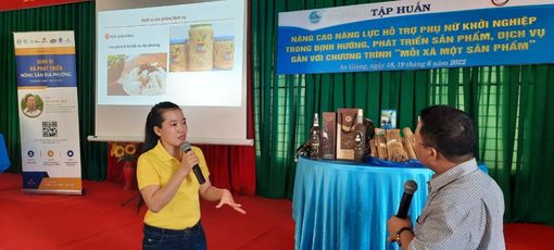 Hội Liên hiệp Phụ nữ An Giang hỗ trợ phụ nữ khởi nghiệp gắn với Chương trình OCOP