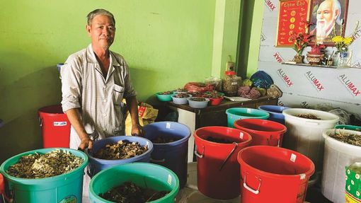 Cựu chiến binh hốt thuốc cứu người