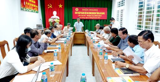 Hội Nạn nhân chất độc da cam/Dioxin An Giang triển khai nhiều nhiệm vụ trọng tâm