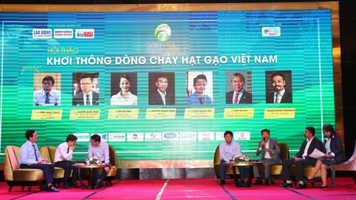 Khơi thông dòng chảy hạt gạo Việt Nam