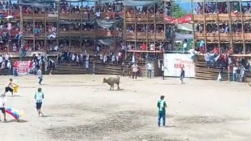 Colombia: Khán đài trường đấu bò sụp đổ, ít nhất 34 người thương vong