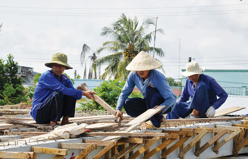 Nông dân Châu Thành học Bác bằng việc làm thiết thực