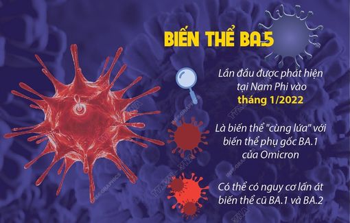 Biến thể phụ BA.5 của Omicron lây lan nhanh hơn biến thể cũ