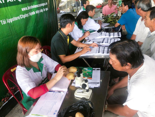 Chẩn đoán bệnh trên cây ăn quả lưu động cho nông dân huyện Chợ Mới