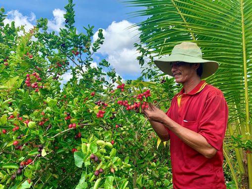 Nhạy bén chuyển đổi cây trồng