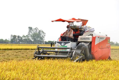 An Giang nhìn lại để tiến bước