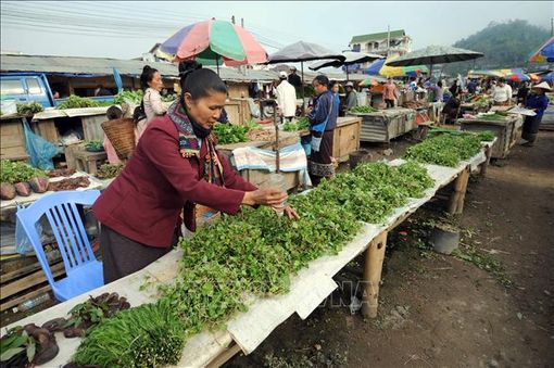 Lạm phát tại Lào cao nhất trong 22 năm