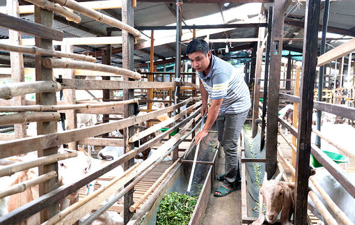 Châu Thành nỗ lực phục hồi và phát triển kinh tế - xã hội
