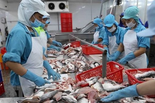 Việt Nam và Mexico xúc tiến hợp tác thương mại, kinh tế và đầu tư