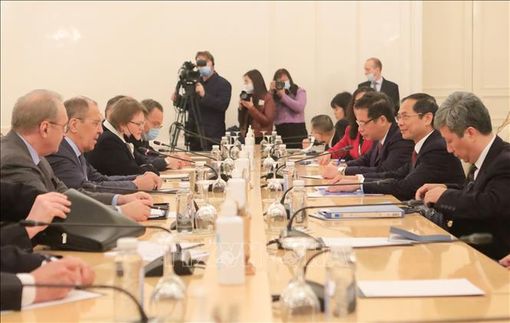 Chuyên gia Nga: Việt Nam là điểm tựa ổn định của Nga với Đông Nam Á