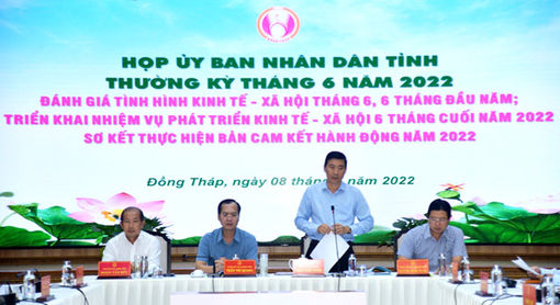 Đồng Tháp: Kinh tế - xã hội 6 tháng đầu năm từng bước ổn định, phục hồi và phát triển