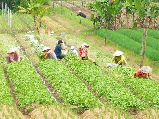 Thay đổi tư duy “nghề làm nông”