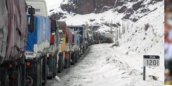 Bão tuyết khiến hàng trăm người mắc kẹt trên núi Andes ở Nam Mỹ