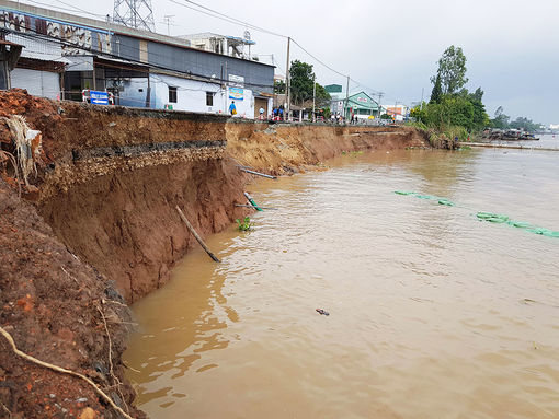 An Giang chủ động ứng phó sạt lở