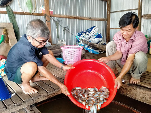 Giá cá chợ tăng, nông dân phấn khởi