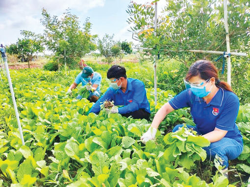 Tuổi trẻ Châu Đốc xung kích vì cuộc sống cộng đồng