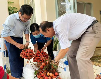 Các cấp Công đoàn tỉnh An Giang hỗ trợ tiêu thụ hơn 3 tấn vải thiều Bắc Giang