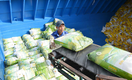 An Giang phục hồi và phát triển kinh tế - xã hội