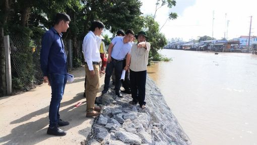 Cần Thơ: Tìm giải pháp khắc phục sạt lở tại bờ kênh Cái Sắn