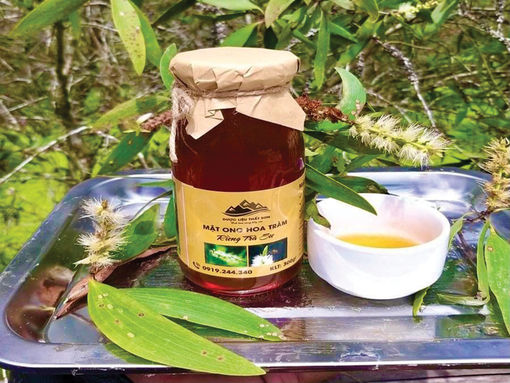 Tâm huyết với dược liệu