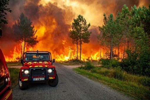 Cháy rừng ở Pháp và Tây Ban Nha, hàng nghìn người phải sơ tán