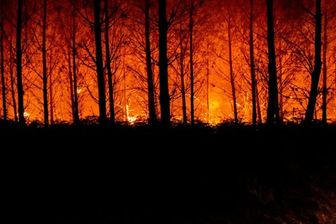 Cháy rừng, nắng nóng hoành hành ở châu Âu