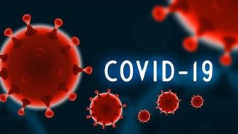 An Giang phát hiện 5 trường hợp nhiễm COVID-19 tại cộng đồng