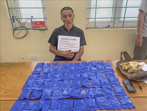 Bắt đối tượng mua bán, vận chuyển 12.000 viên ma túy tổng hợp