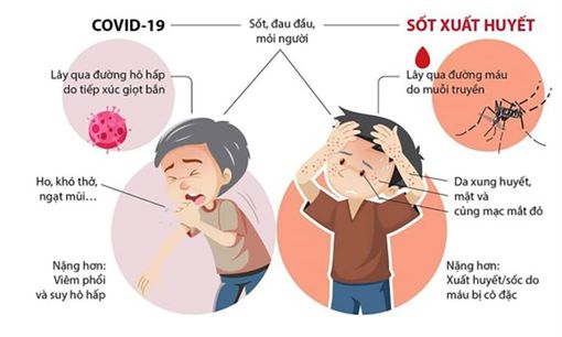 Phân biệt sốt do COVID-19 và sốt xuất huyết