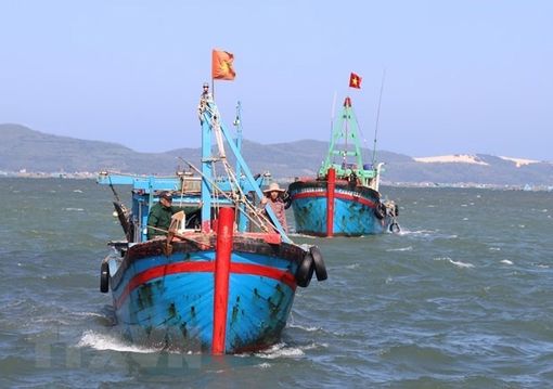 'Thẻ vàng' IUU: Kiên Giang hướng tới xóa dứt điểm tình trạng vi phạm