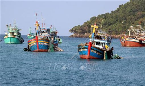 Kiên Giang tạm ngừng khai thác nhuyễn thể 2 mảnh vỏ vùng biển ven bờ