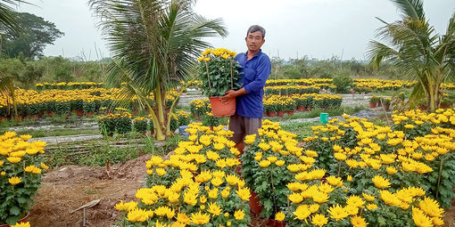 An Phú tập trung phát triển kinh tế - xã hội