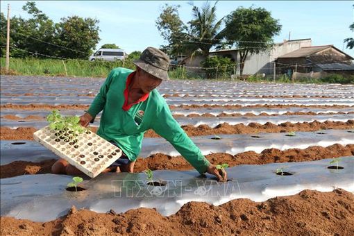 Công nhận 7 xã an toàn khu tại tỉnh Trà Vinh