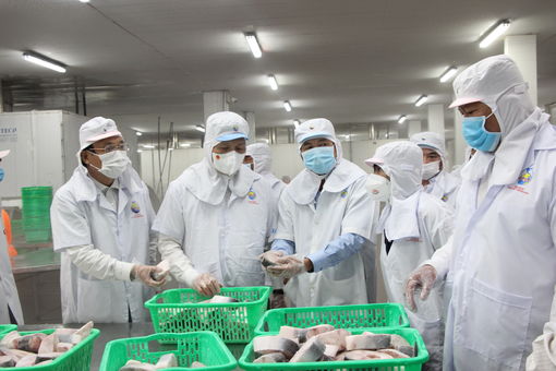 Ủy ban Khoa học, Công nghệ và Môi trường của Quốc hội làm việc tại An Giang