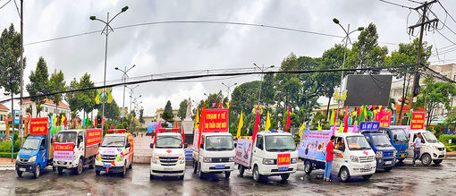 Chợ Mới phát động chiến dịch "Người dân tự diệt muỗi, diệt lăng quăng phòng, chống dịch bệnh sốt xuất huyết"
