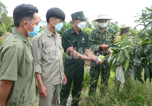 Kiên Giang: Cựu chiến binh giúp nhau giảm nghèo, làm kinh tế giỏi