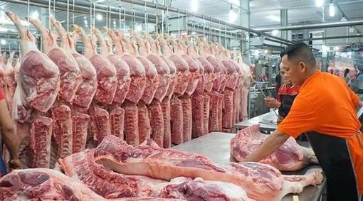 Phó Thủ tướng yêu cầu thực hiện ngay các biện pháp bình ổn giá thịt lợn