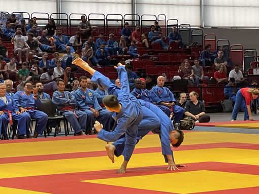 Đoàn Việt Nam giành 3 HCV tại giải Vô địch thế giới Vovinam - Việt Võ Đạo lần thứ 6