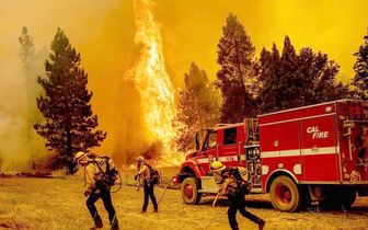 Cháy rừng nghiêm trọng tại Mỹ và châu Âu