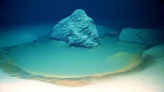 Phát hiện những vùng nước biển siêu mặn ở Hồng Hải nhưng vẫn tồn tại sự sống