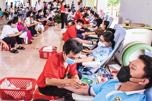 Một giọt máu cho đi, một cuộc đời ở lại