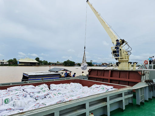 Phân công trách nhiệm, hoàn thành nhiệm vụ năm 2022
